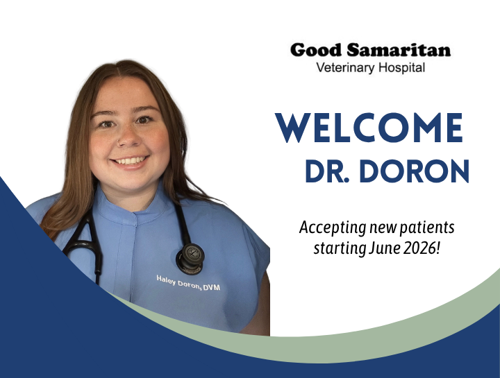 Please Join Us in Welcoming Dr. Haley Doron to Good Samaritan Veterinary Hospital